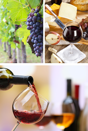 Servir un vin avec élégance